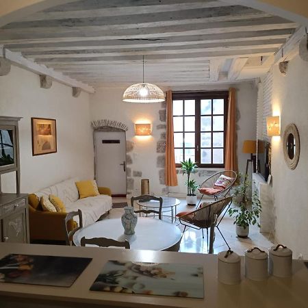 Le Logis De La Rue Des Arts Apartment Blois Bagian luar foto