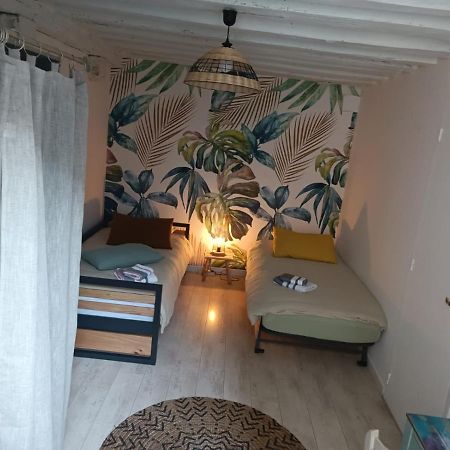 Le Logis De La Rue Des Arts Apartment Blois Bagian luar foto