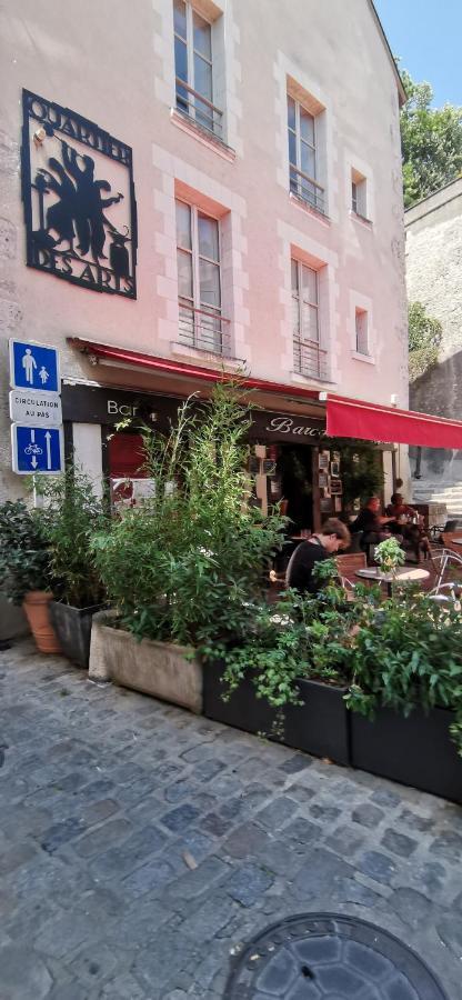 Le Logis De La Rue Des Arts Apartment Blois Bagian luar foto