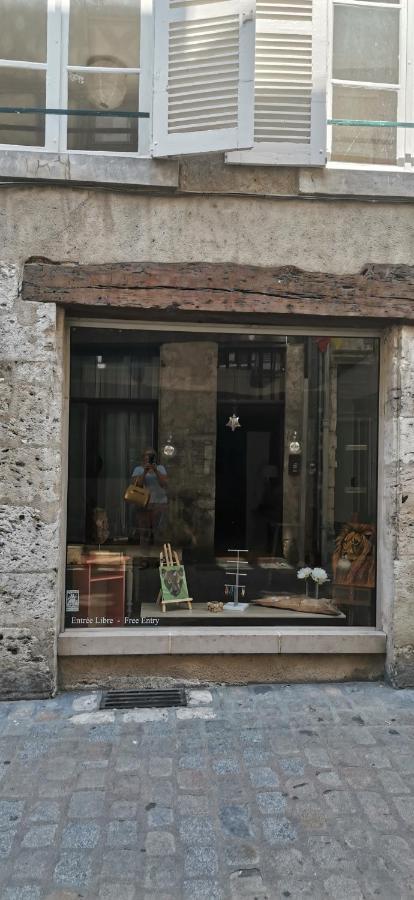 Le Logis De La Rue Des Arts Apartment Blois Bagian luar foto