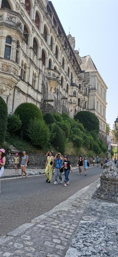 Le Logis De La Rue Des Arts Apartment Blois Bagian luar foto
