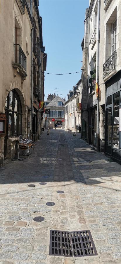 Le Logis De La Rue Des Arts Apartment Blois Bagian luar foto
