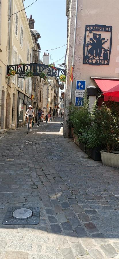 Le Logis De La Rue Des Arts Apartment Blois Bagian luar foto