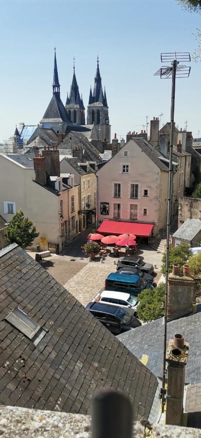 Le Logis De La Rue Des Arts Apartment Blois Bagian luar foto