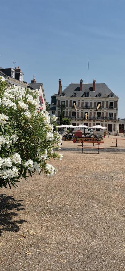 Le Logis De La Rue Des Arts Apartment Blois Bagian luar foto