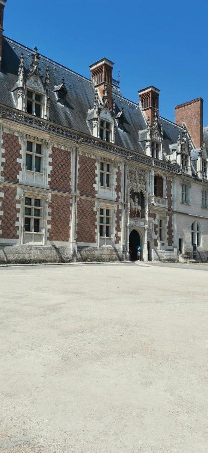 Le Logis De La Rue Des Arts Apartment Blois Bagian luar foto