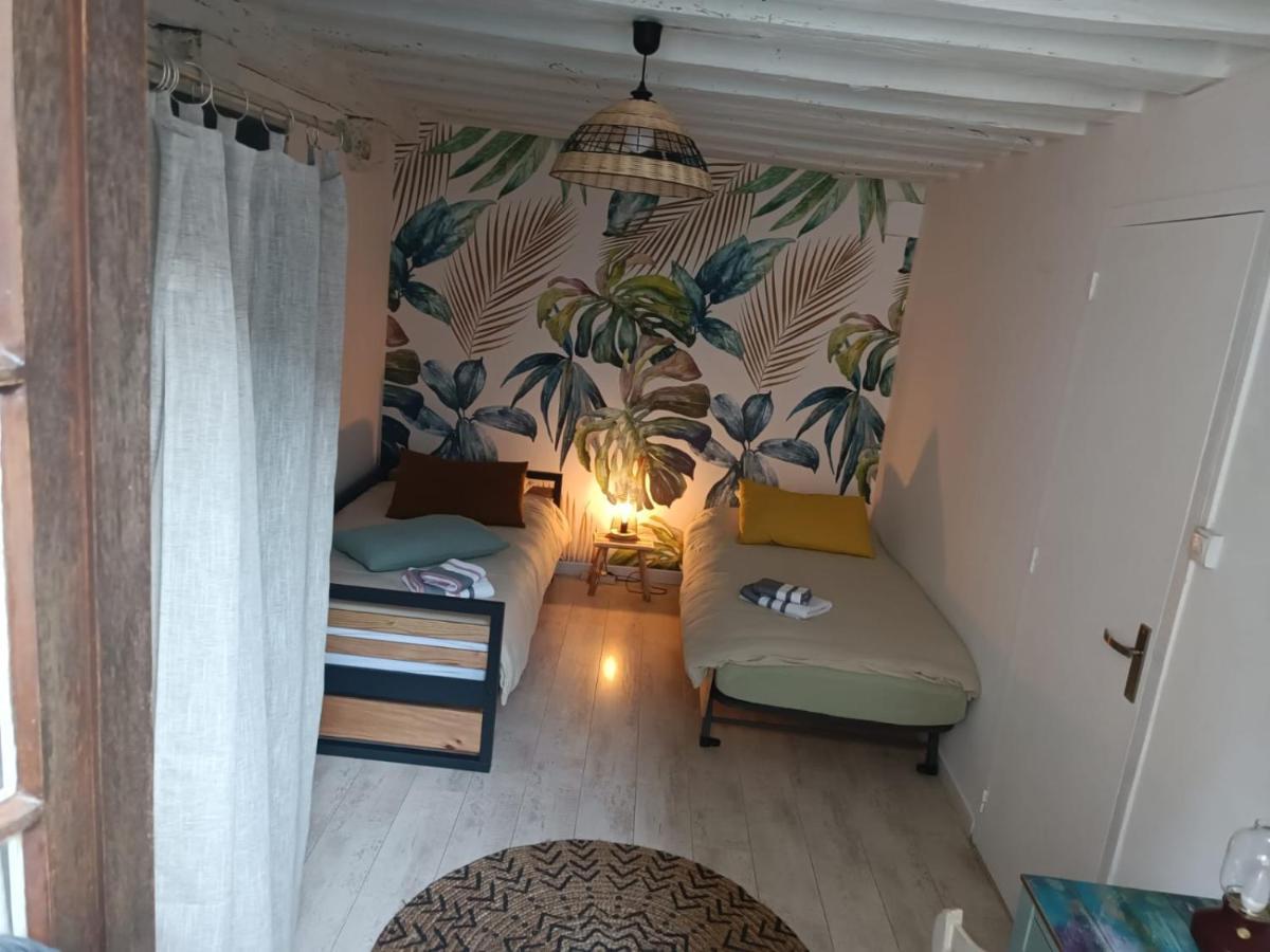 Le Logis De La Rue Des Arts Apartment Blois Bagian luar foto