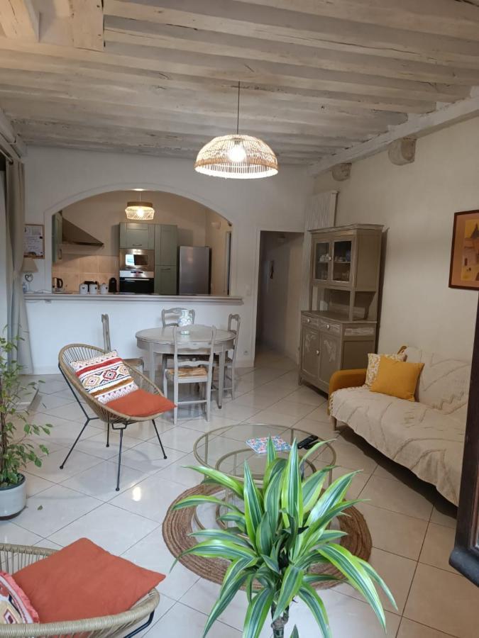 Le Logis De La Rue Des Arts Apartment Blois Bagian luar foto